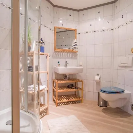 Waldkauz Im Haus Seeadler Zinnowitz