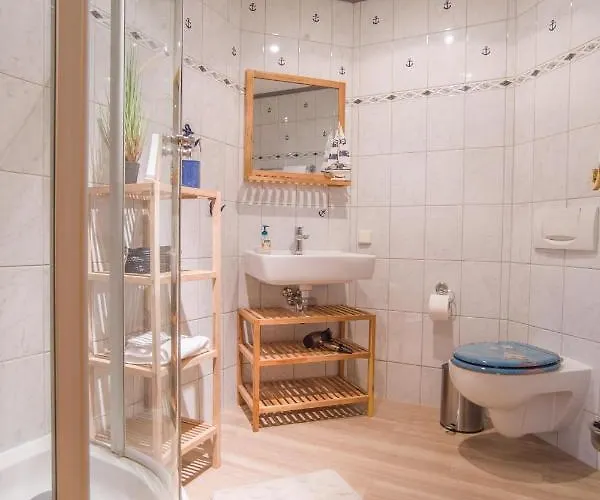 Waldkauz Im Haus Seeadler Penzance